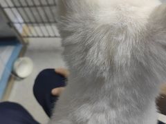 -谐和贝康宠物医院24小时·宠保定点(急重症转诊中心)