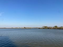 -盐城丹顶鹤湿地生态旅游区