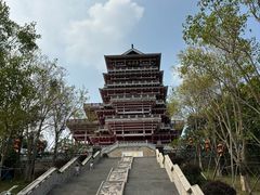 -飞来湖湿地公园