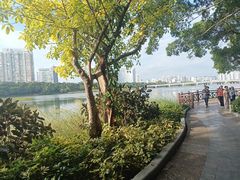 -南宁南湖公园