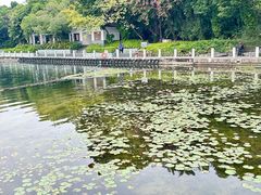 -南宁南湖公园