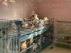 -山东柏宁水族批发广场