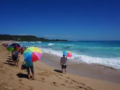 -原住民美食石板烤肉山猪肉