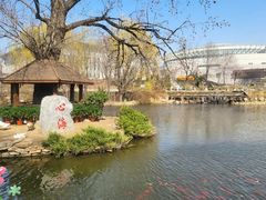 -武汉大学-樱园
