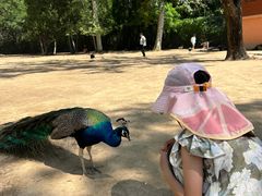 -秦皇岛野生动物园