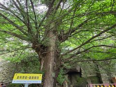 -大慈岩风景区