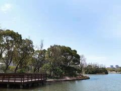 -新江湾城公园
