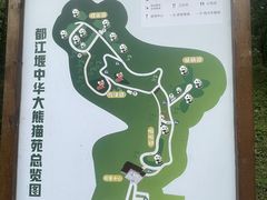 -都江堰中华大熊猫苑