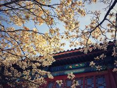 -大钟寺古钟博物馆