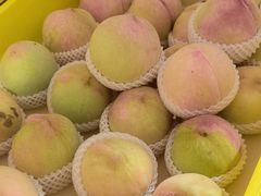 -老袁家蜜桃农场·阳山水蜜桃