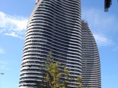 -黄金海岸