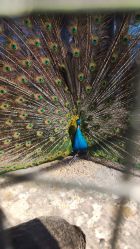 -酷嗒动物文化乐园(cutezoo西溪乐天城店)