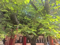 -西安市广仁寺