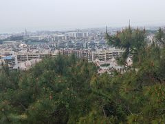 -仙岳公园