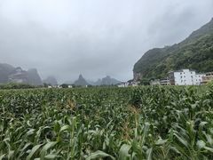 -明仕田园