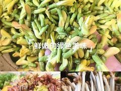 -福照楼汽锅鸡·云南菜(万达广场店)