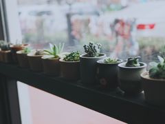 -Africafe(非洲咖啡)