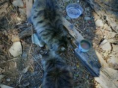 -北京西山国家森林公园