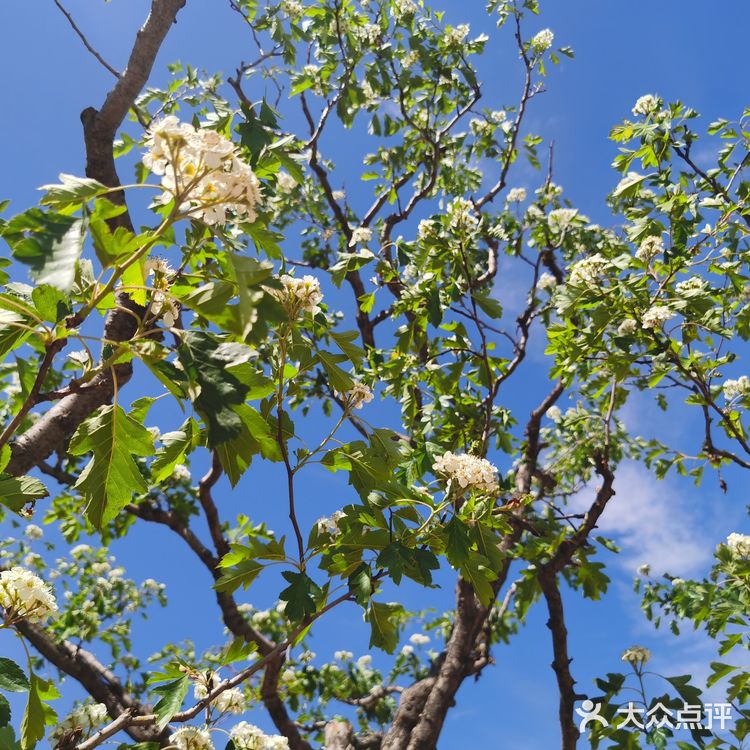 蓟州溶洞风景区不虚此行~