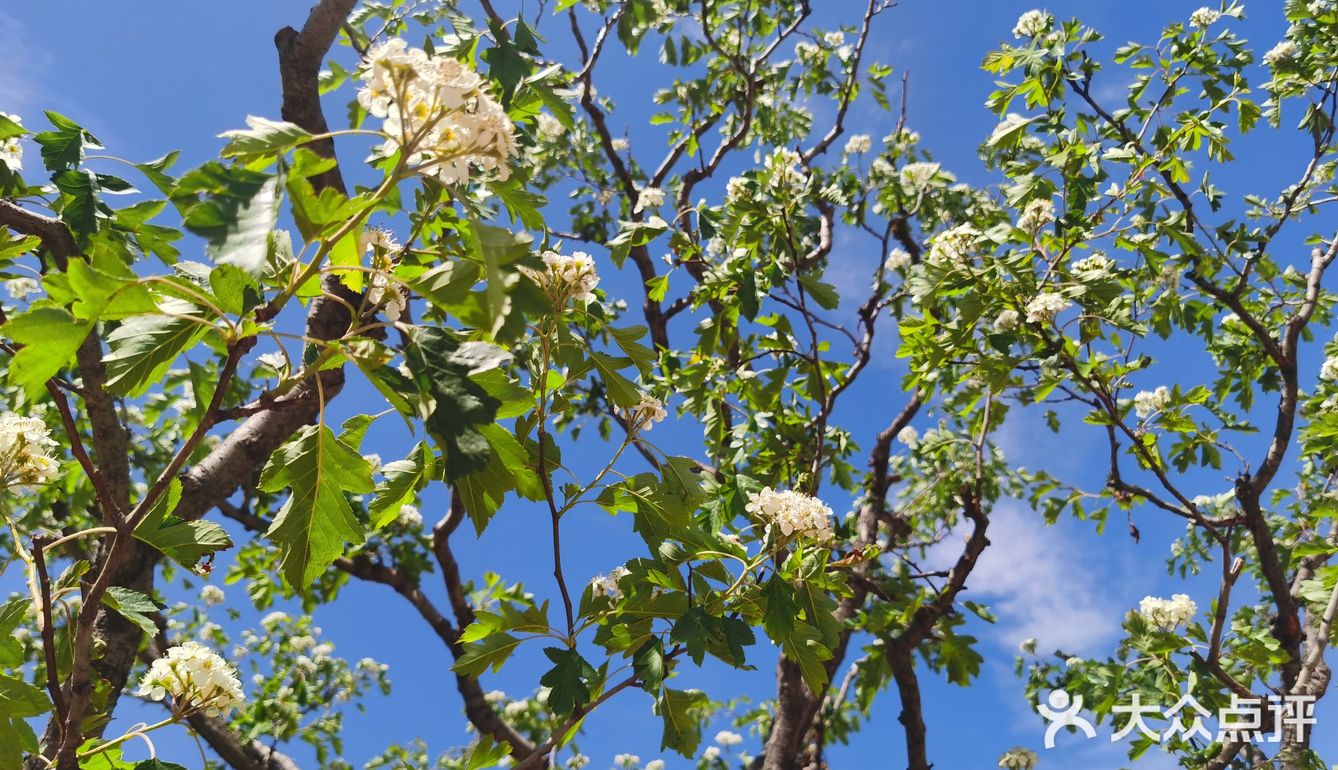 蓟州溶洞风景区不虚此行～