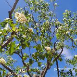 蓟州溶洞风景区不虚此行～