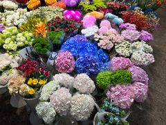 -双季花艺园艺市场(浦东店)