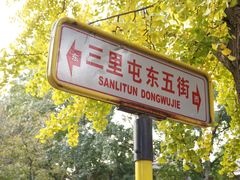 -三里屯东五街银杏大道