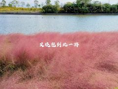 -滴水湖