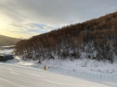-密苑云顶乐园