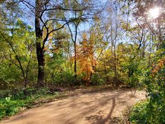 -长春市南湖公园