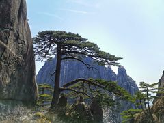 -黄山风景区