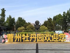 -曹州牡丹园
