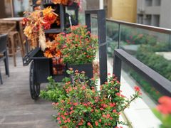 -卡普里披萨·牛扒·下午茶