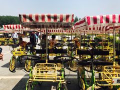 -黄海国家森林公园