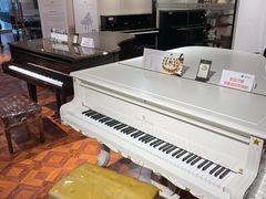 -柏斯音乐艺术中心·钢琴·吉他(上音店)