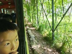 -合肥滨湖国家森林公园