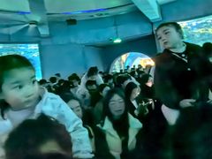 -海合安武汉极地海洋公园