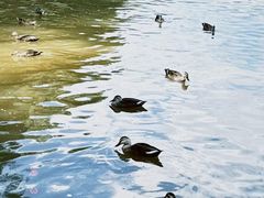 -西宁市人民公园(城西区)