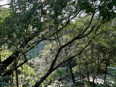 -广州市白云山风景名胜区