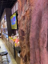 -卡通尼·Safari非洲探索乐园·生日会(金桥国际商业广场店)