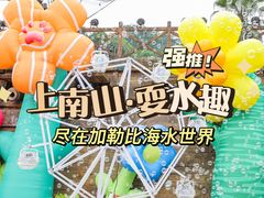 -重庆海昌加勒比海水世界