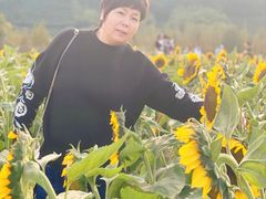 -径山花海