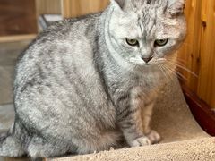 -隅cafe(傅厚岗店)