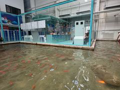 -锦绣大地批发市场-B座