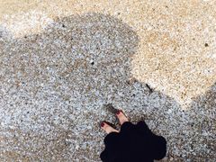 -嵊泗基湖沙滩