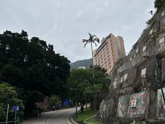 -香港大学