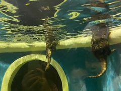 -成都浩海立方海洋公园