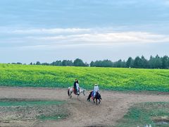 -扁都口生态休闲旅游区