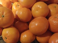-浅深(北京北四环精品店)