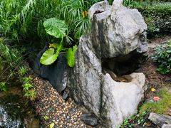 -顺峰山公园